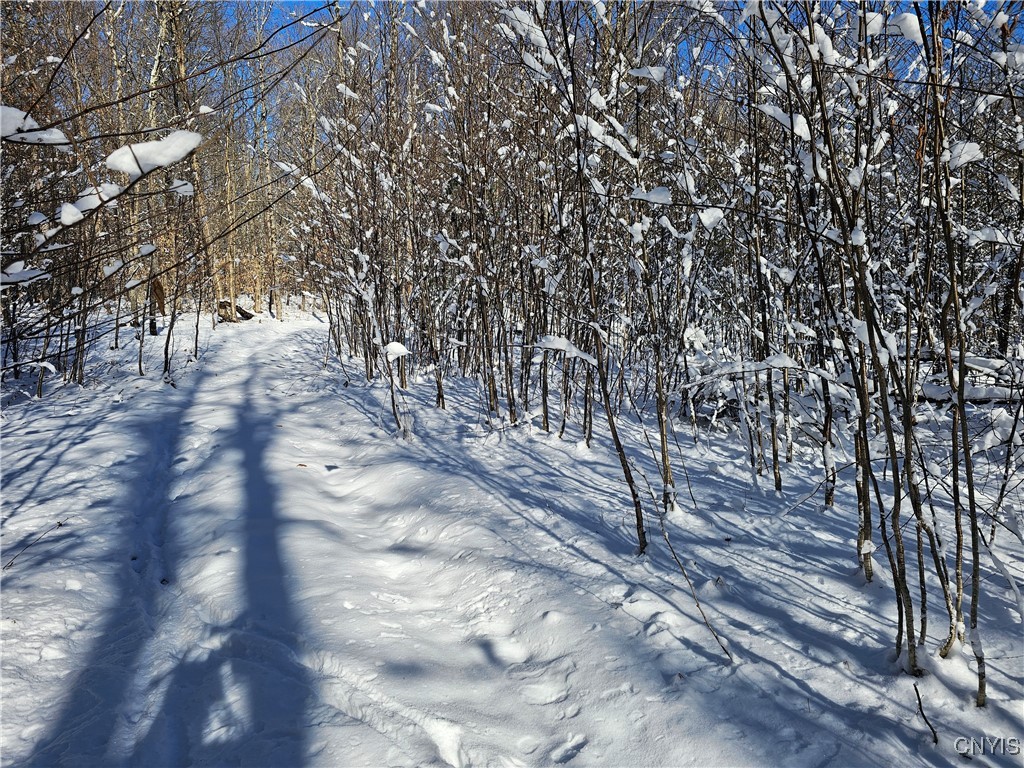 Long Pond Road Croghan, NY 13327 - Photo 8 of 18