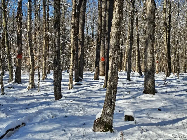 $30,000 | Long Pond Road, Croghan, NY 13327