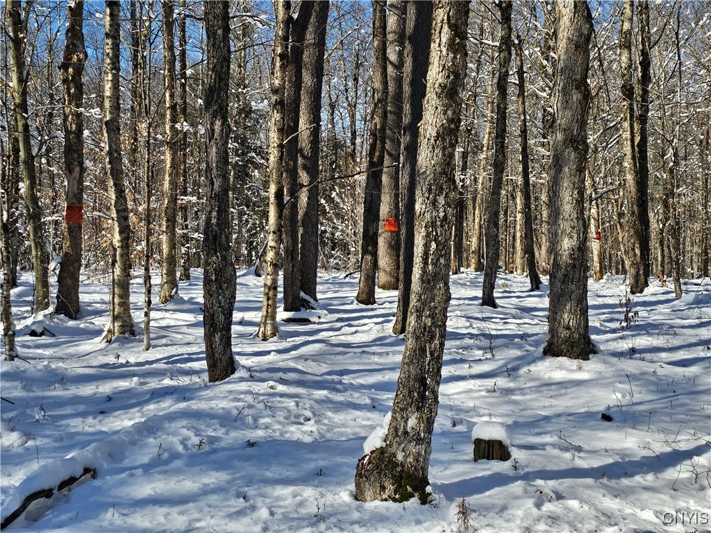 Long Pond Road Croghan, NY 13327 - Photo 9 of 18