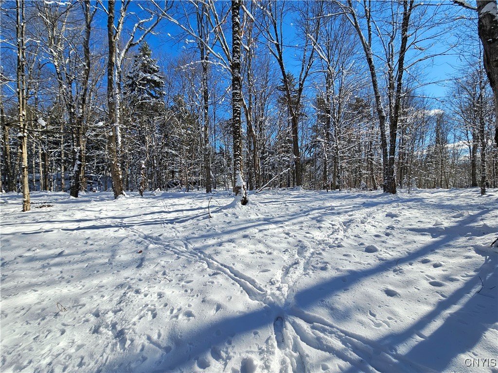 Long Pond Road Croghan, NY 13327 - Photo 10 of 18