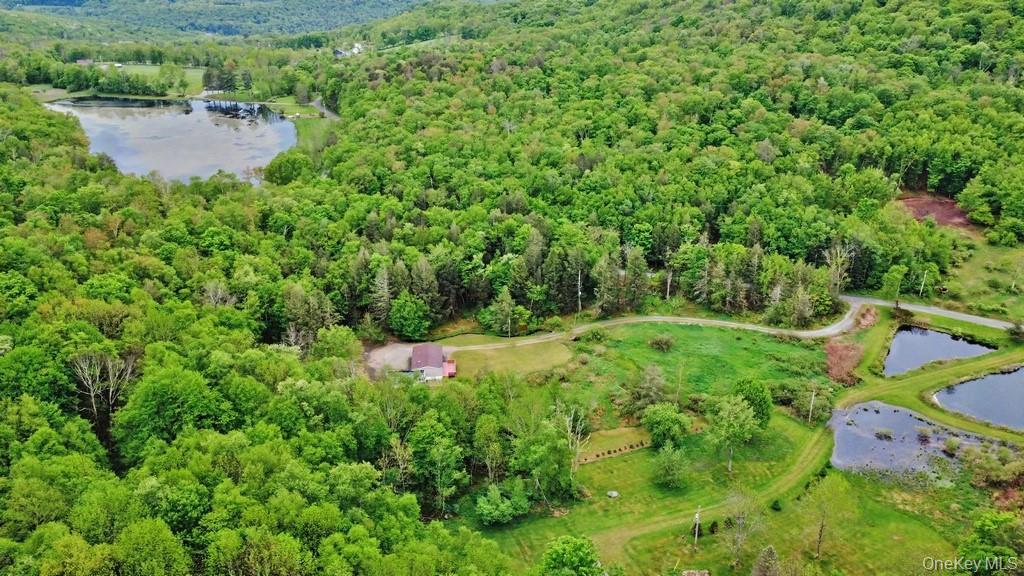 308 William Brown Road Fremont, NY 12741 - Photo 6 of 33