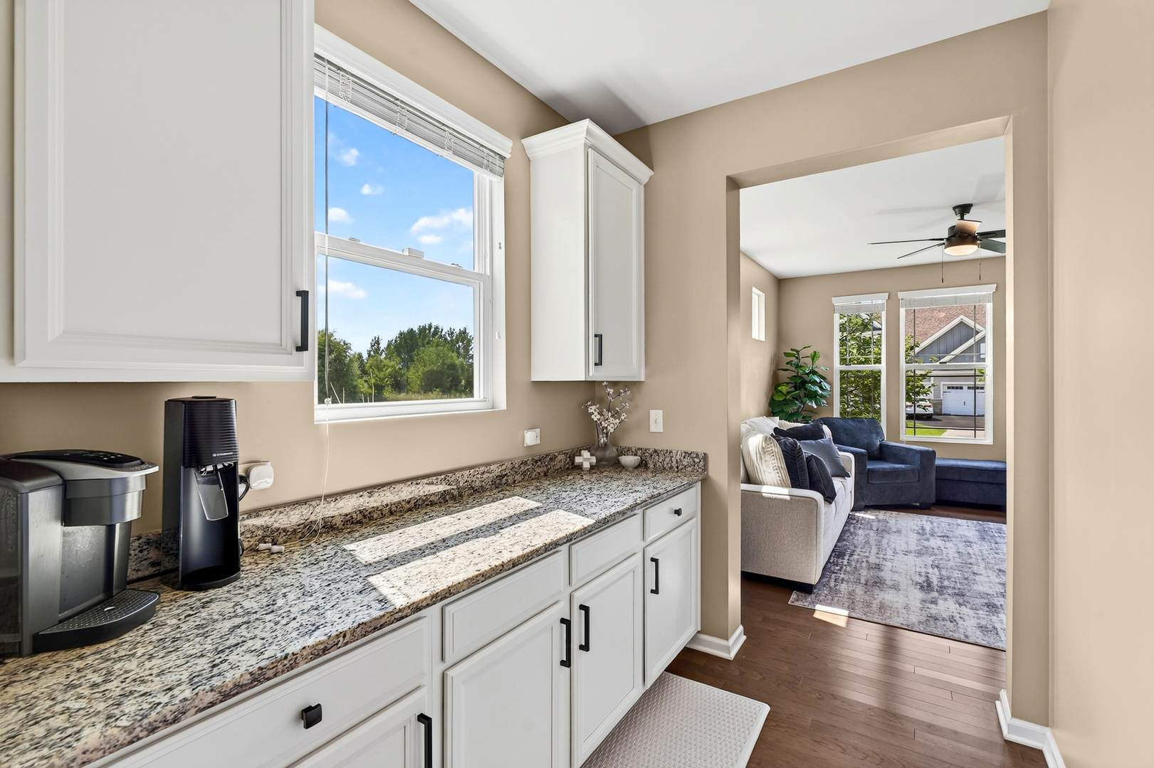 4342 Rudyard Kipling Road Elgin, IL 60124 - Photo 7 of 44 Gallery Image 7