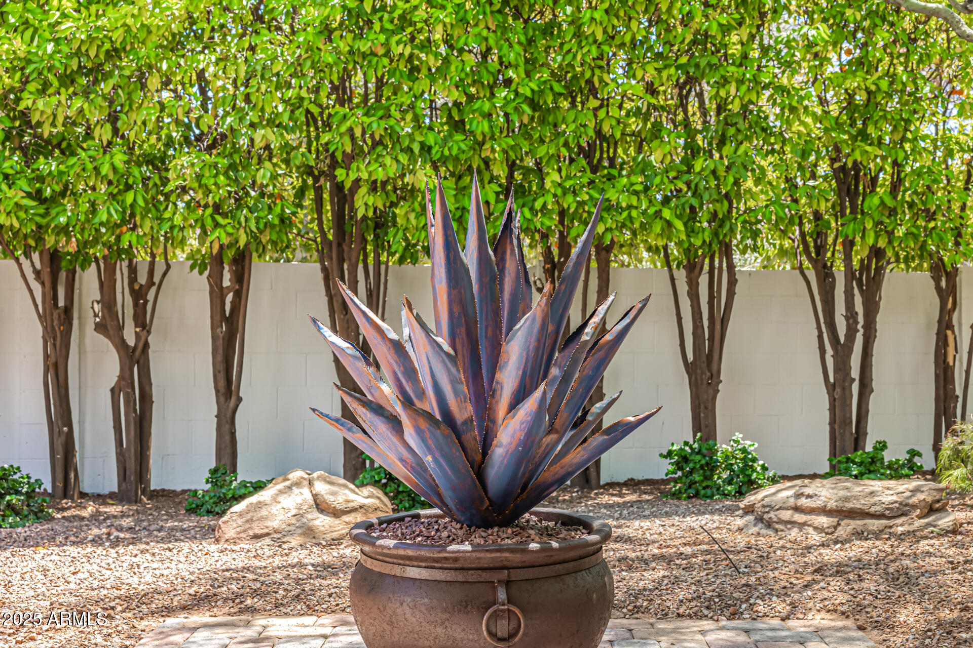 19 East Boca Raton Road Phoenix, AZ 85022 - Photo 52 of 54 a view of a backyard with plants