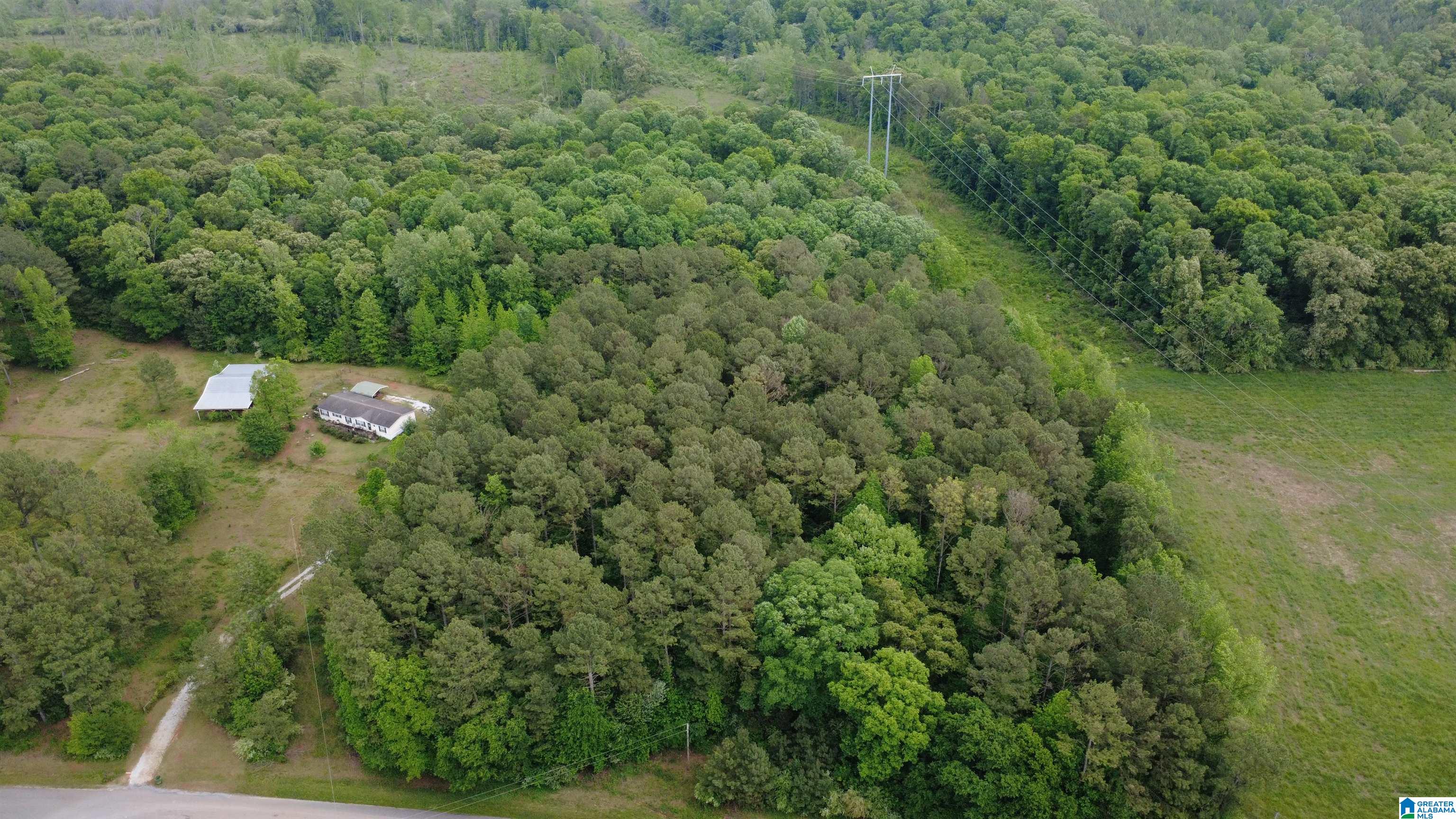 Unkn Highland Road, Unit 9 1 ACRES Lineville, AL 36266 - Photo 3 of 6