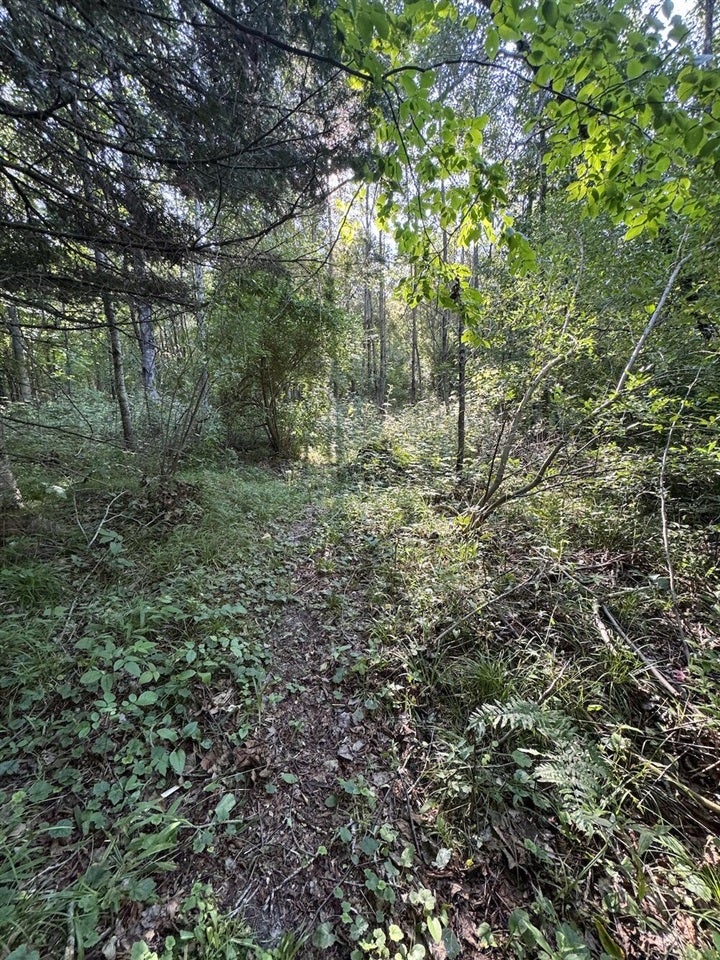 East Procunier Road Harrisville, MI 48740 - Photo 36 of 78 Gallery Image 36