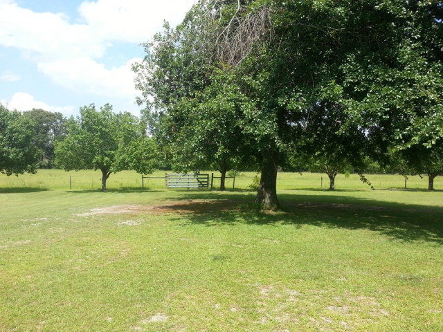 1010 R & B Road Barnwell, SC 29812 - Photo 2 of 9