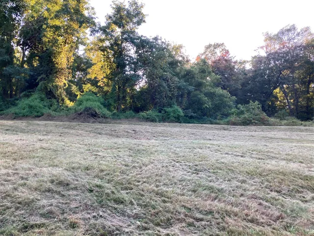 a view of a field with trees in the background