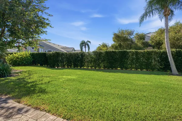 a view of a field of grass and a tree