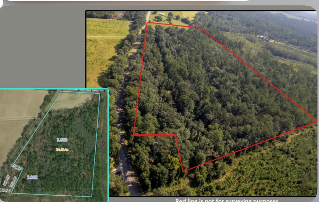 0 Mt Zion Road Cottonwood, AL 36320 - Photo 2 of 2