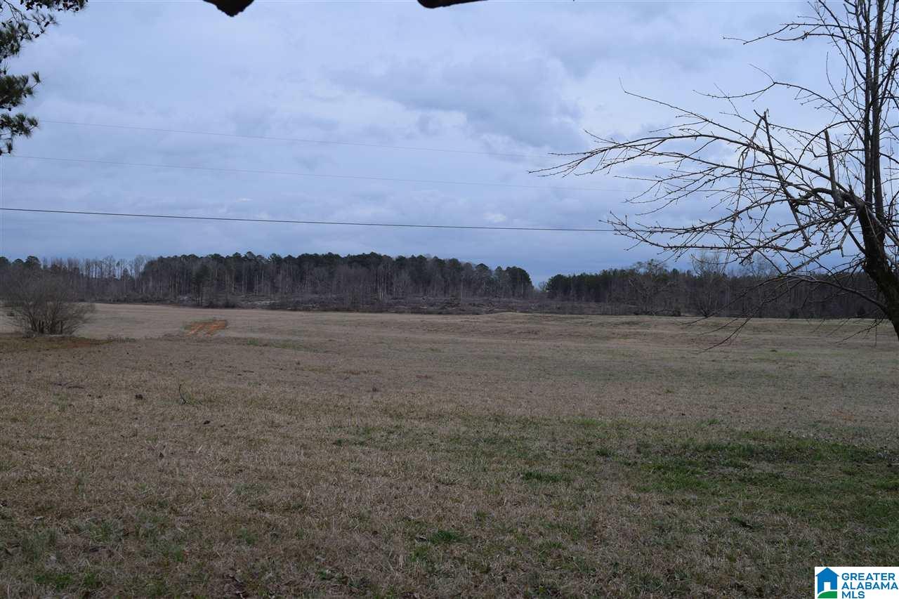 11112 Vance Blocton Road Vance, AL 35490 - Photo 4 of 20