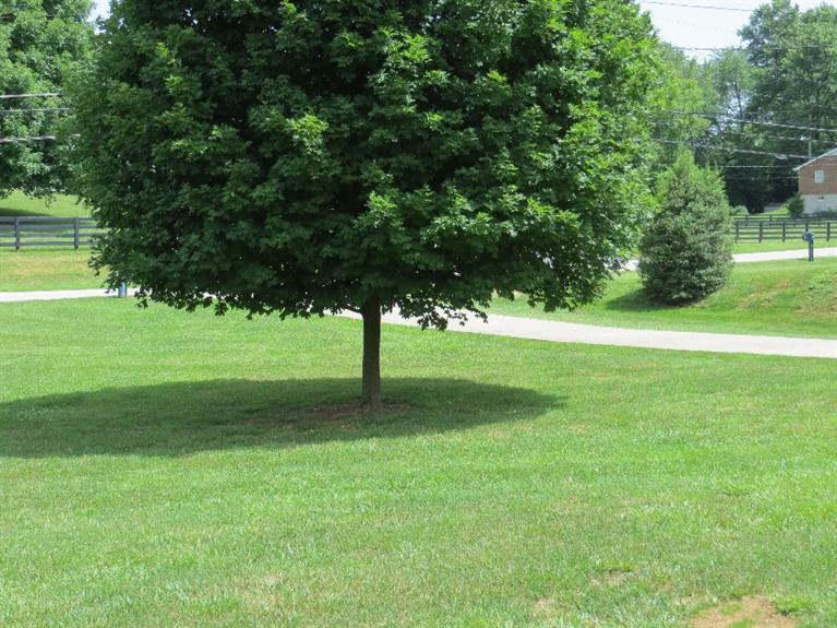121 Evergreen Road Frankfort, KY 40601 - Photo 18 of 66 Photo 18