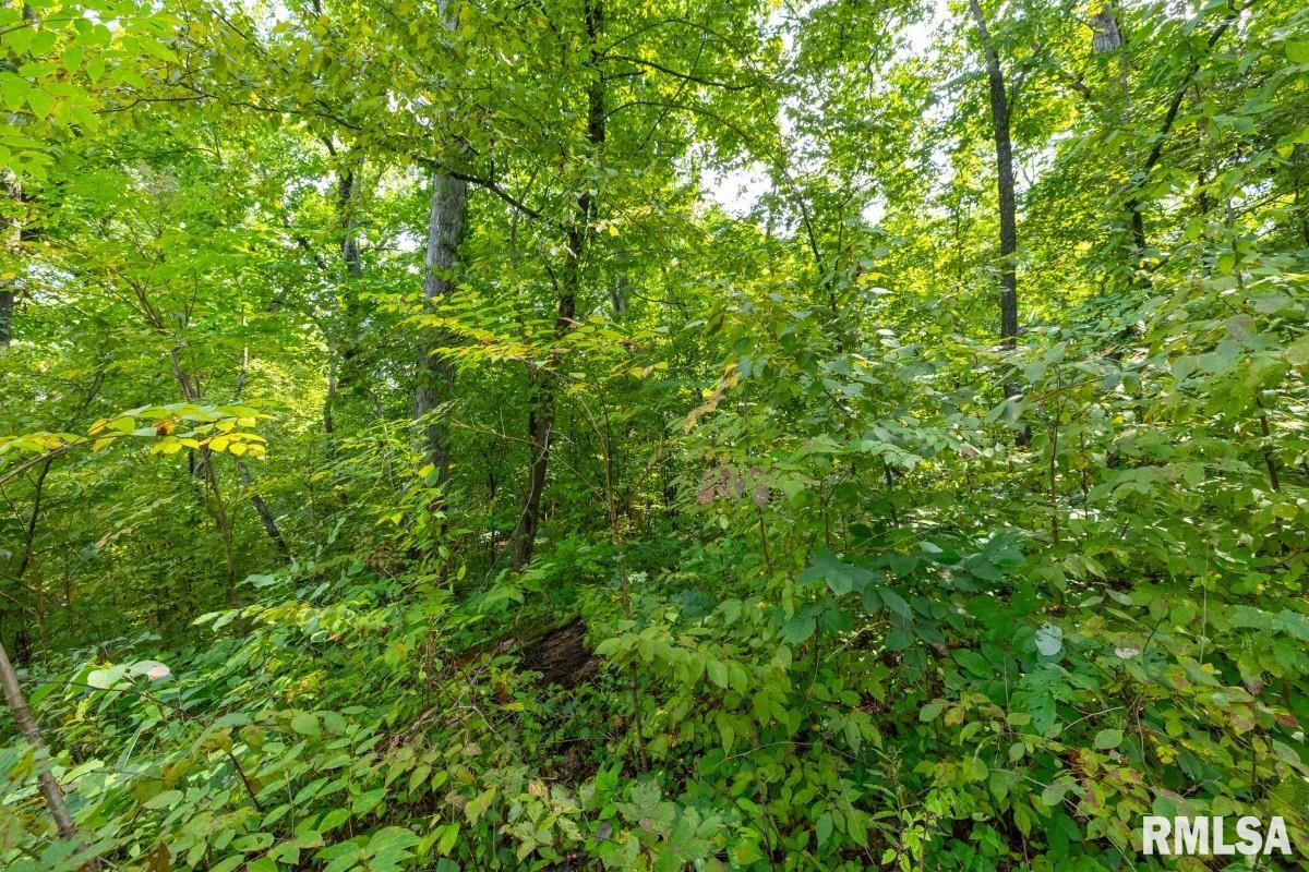 0 Hawkins Road Vienna, IL 62995 - Photo 28 of 36 Gallery Image 28