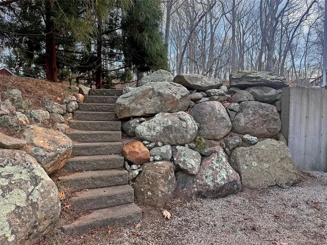 a view of a yard with large trees