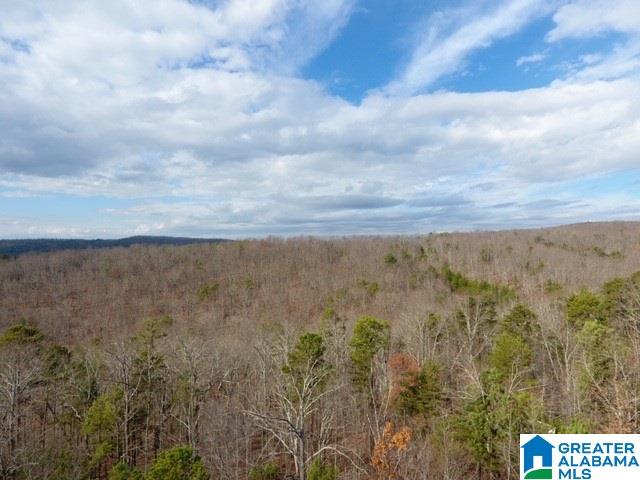 8730 Pine Mountain Road Pinson, AL 35126 - Photo 2 of 5