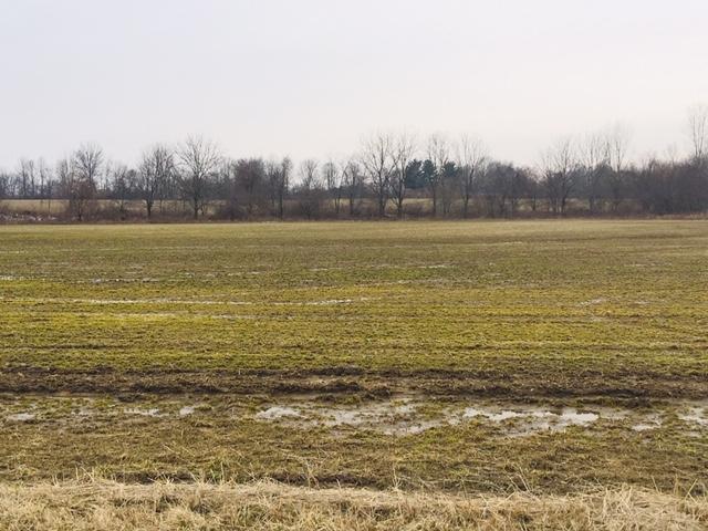 0 Alward Road Southwest, Unit A Pataskala, OH 43062 - Photo 2 of 2
