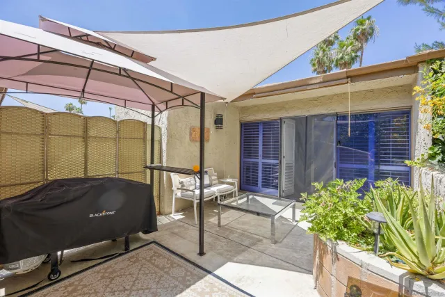 a view of a swimming pool with a lawn chairs under palm trees