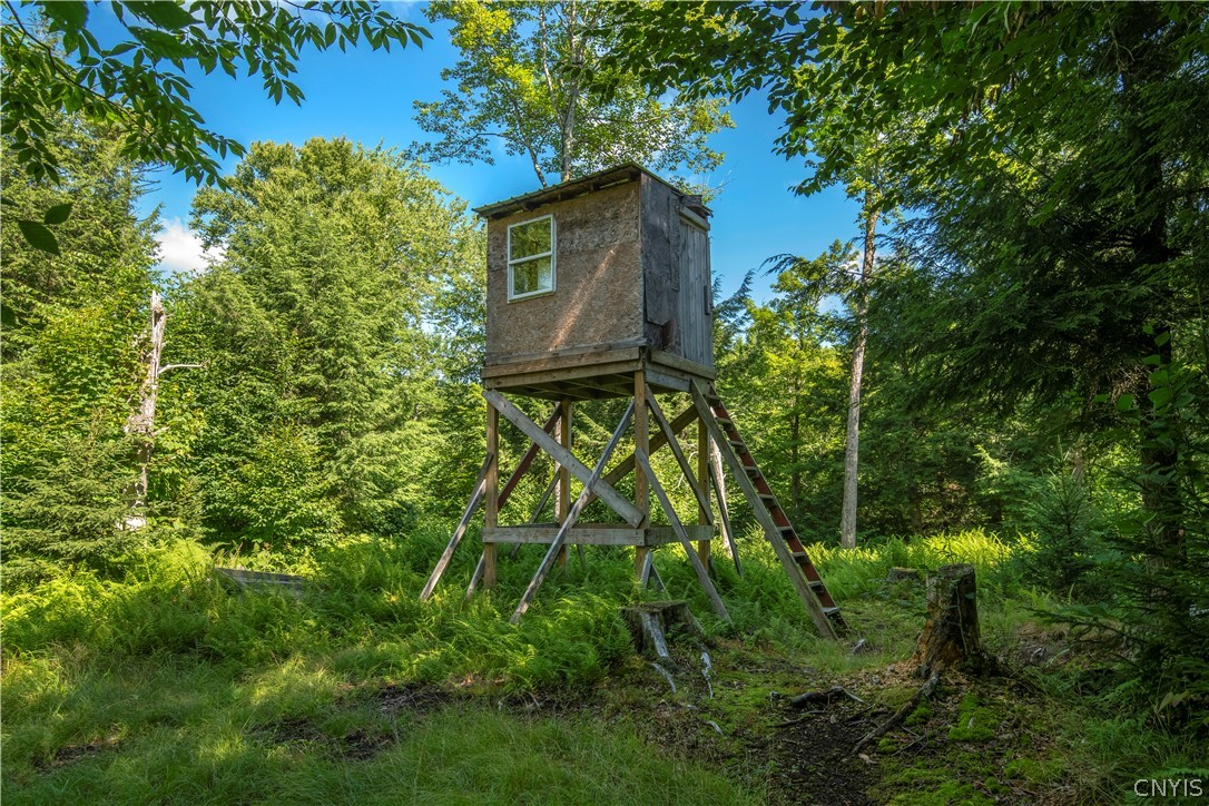 461 Billy Hamlin Road Ohio, NY 13324 - Photo 44 of 49 Tree Stand
