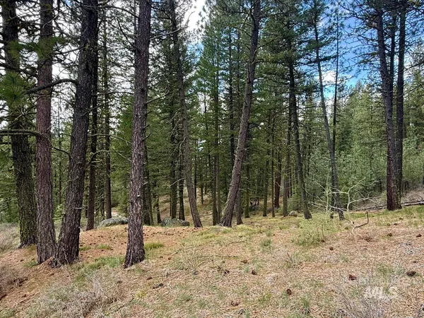 $1,700,000 | 4 Chino Spur, Cascade, ID 83611