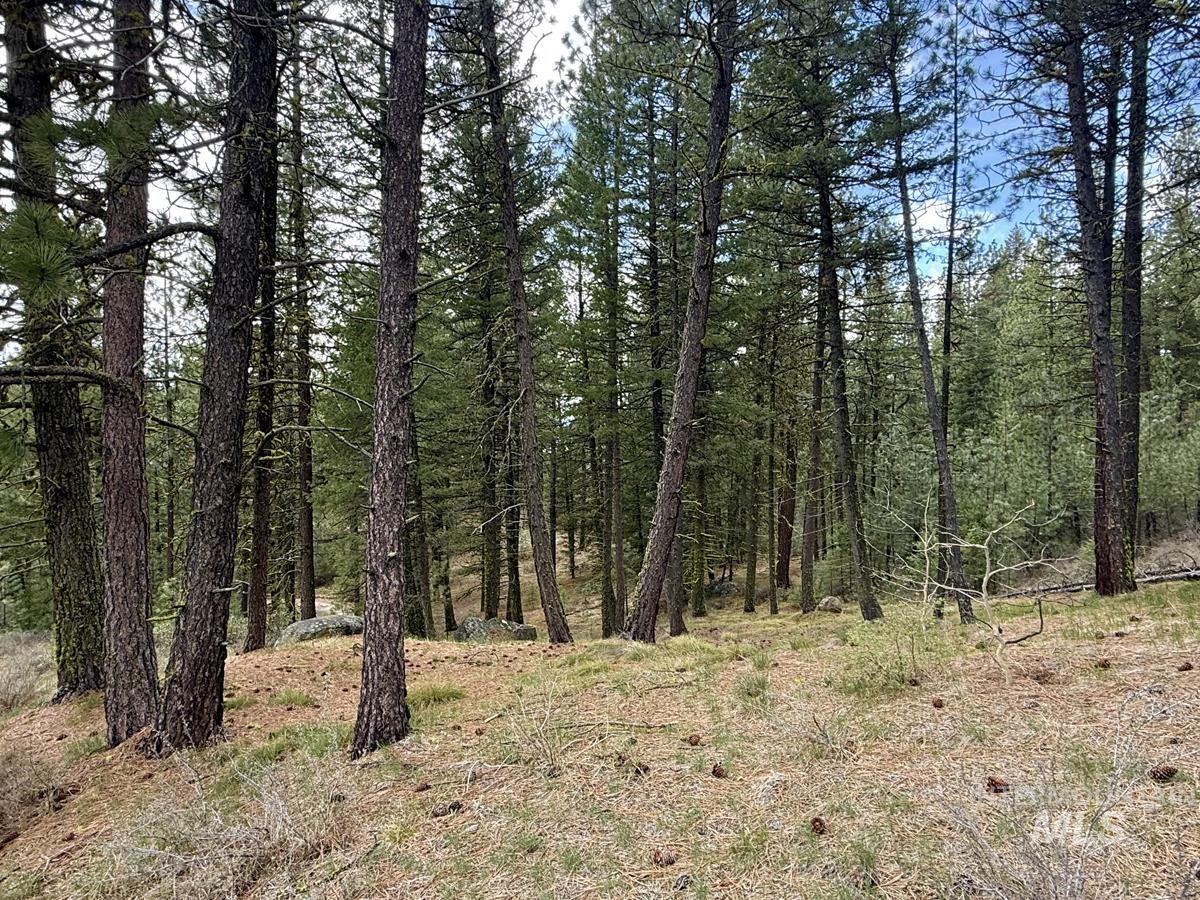 4 Chino Spur Cascade, ID 83611 - Photo 43 of 50