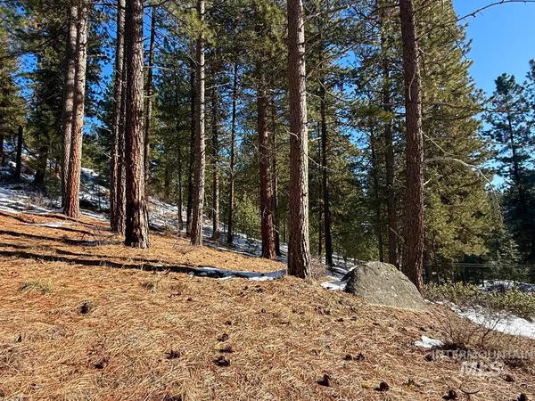 $1,700,000 | 4 Chino Spur, Cascade, ID 83611