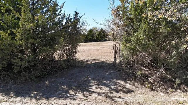 a view of a yard with plants and trees