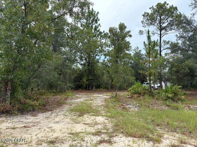 4539 Northwest White Road Altha, FL 32421 - Photo 23 of 82
