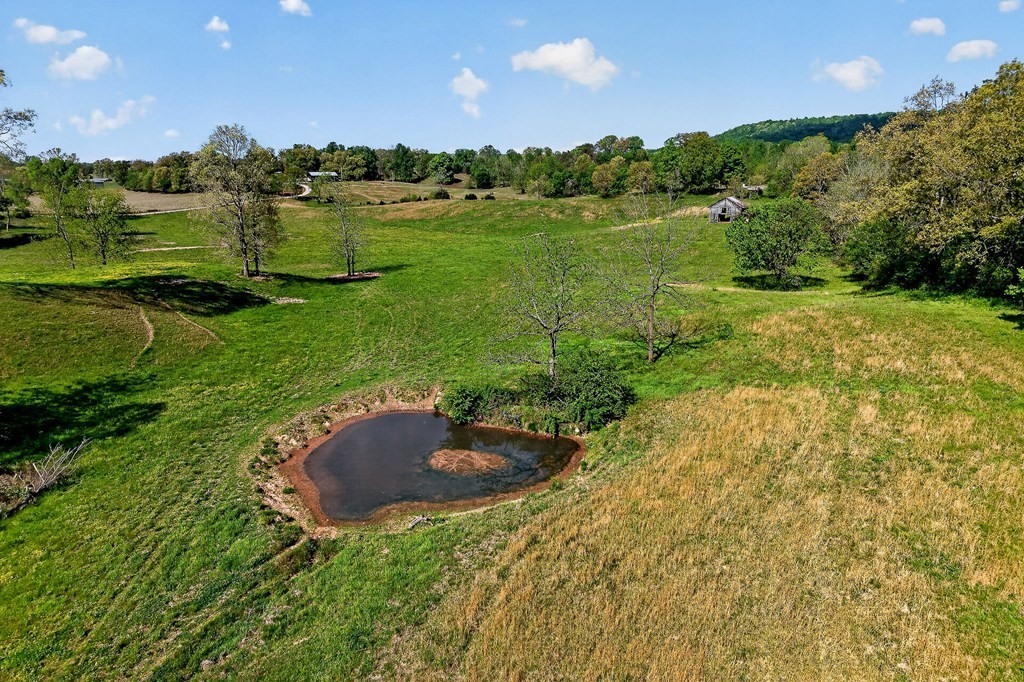 515 Jericho Road Quebeck, TN 38579 - Photo 17 of 60