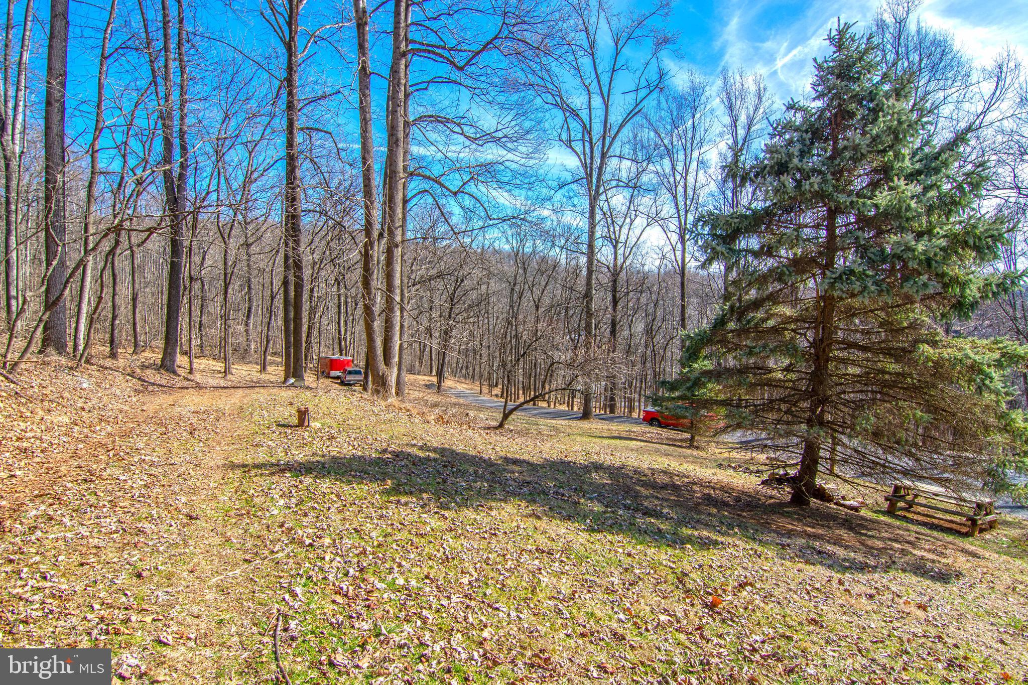 852 Freezeland Road Linden, VA 22642 - Photo 11 of 38 Gallery Image 11