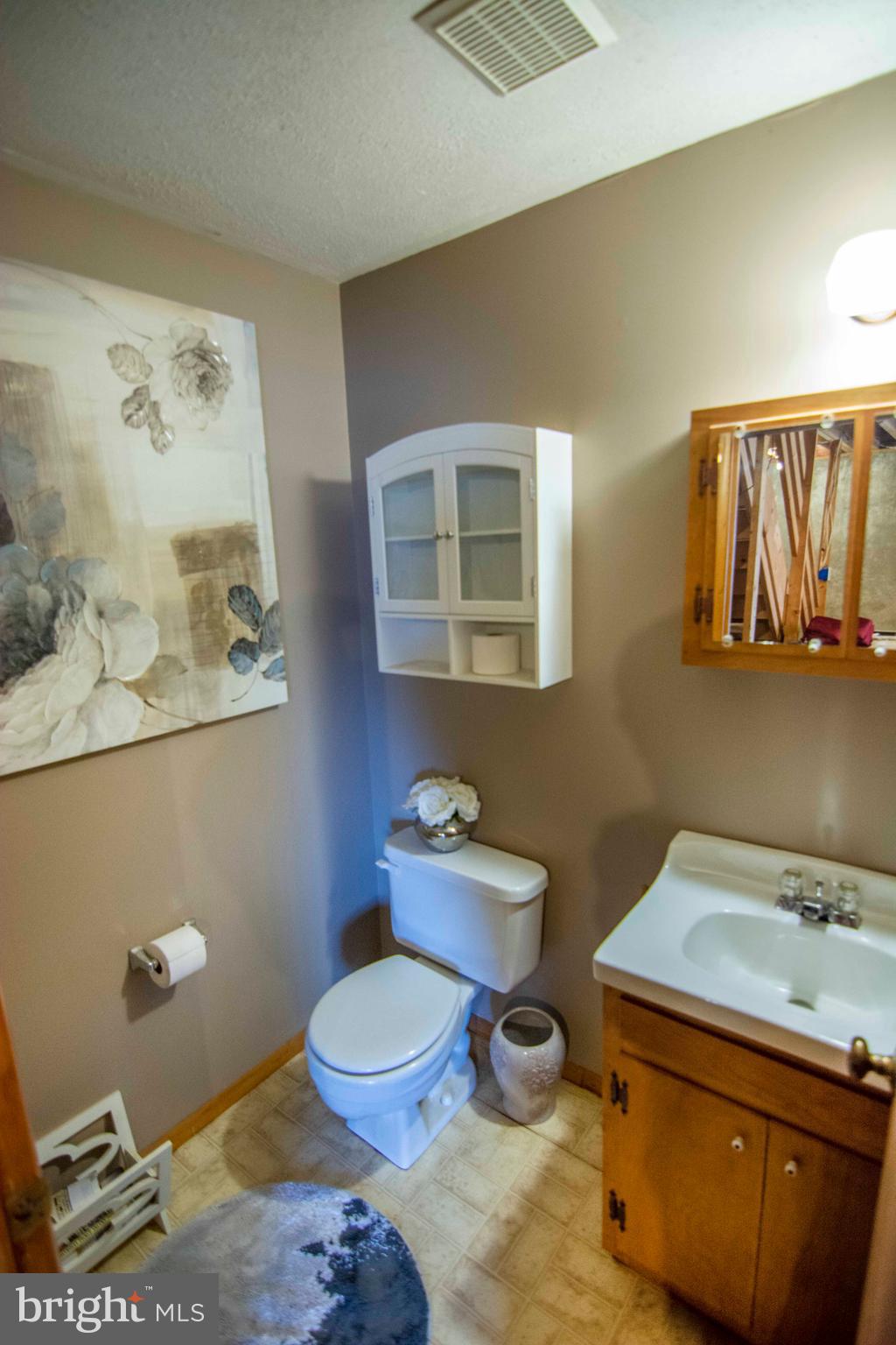 852 Freezeland Road Linden, VA 22642 - Photo 35 of 38 Lower Level Full Bath