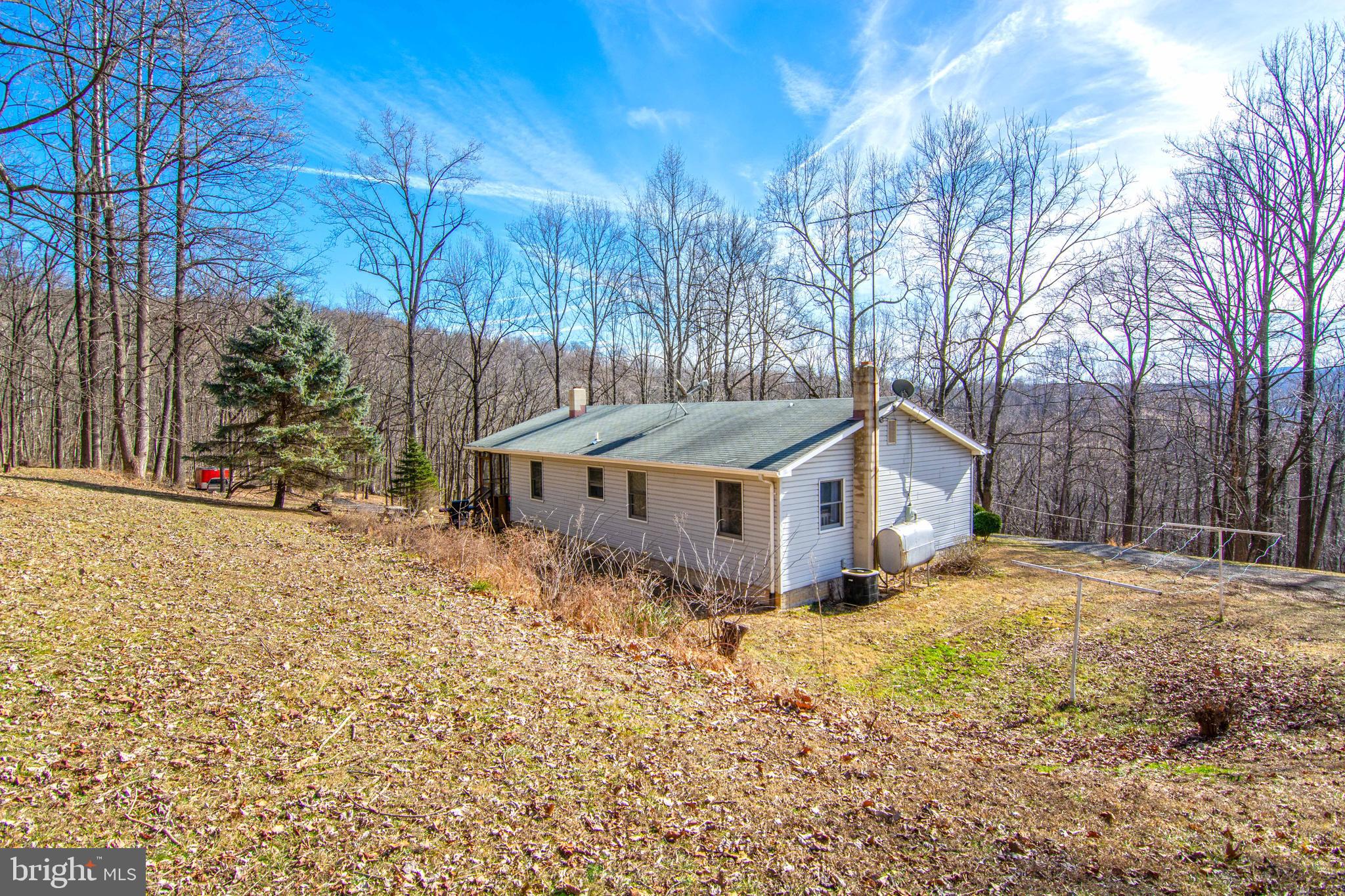 852 Freezeland Road Linden, VA 22642 - Photo 9 of 38 Gallery Image 9