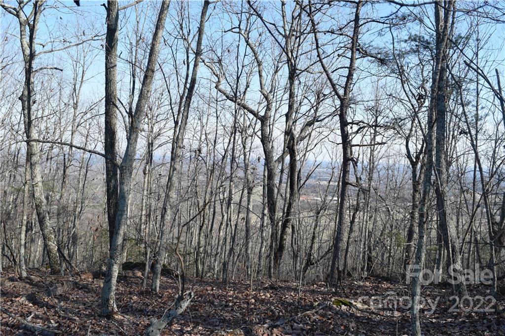 3550 Tower Road Maiden, NC 28650 - Photo 3 of 4 Gallery Image 3