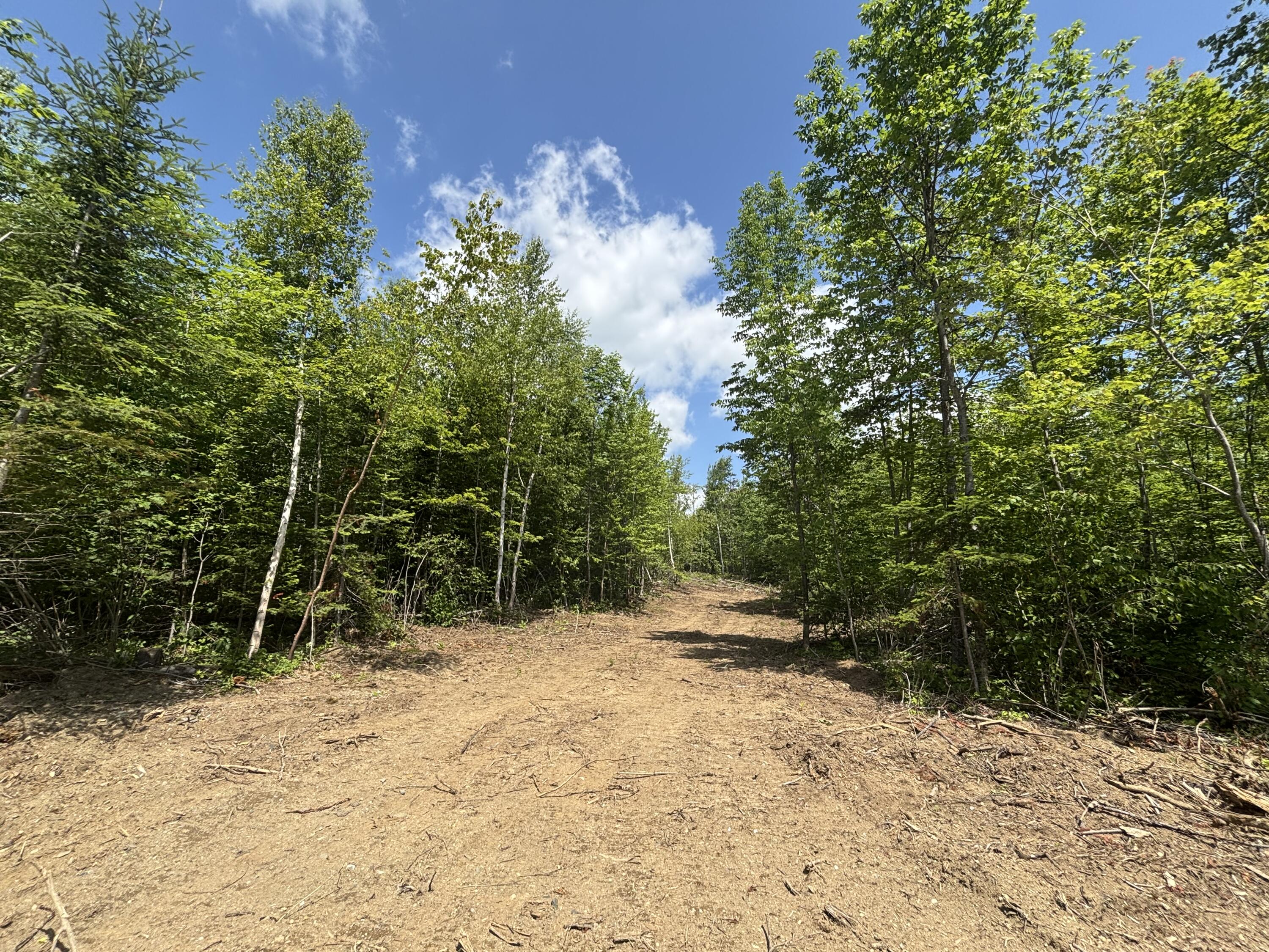 Lot A Mcdonald Road Littleton, ME 04730 - Photo 6 of 8 6