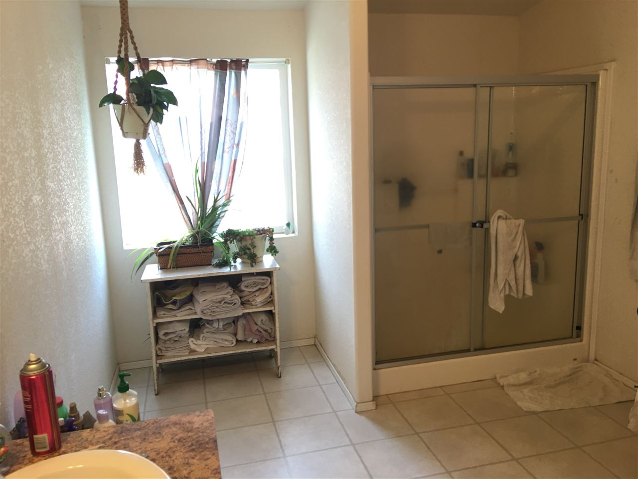 24121 North Whispering Pines Road Colbert, WA 99005 - Photo 14 of 20
