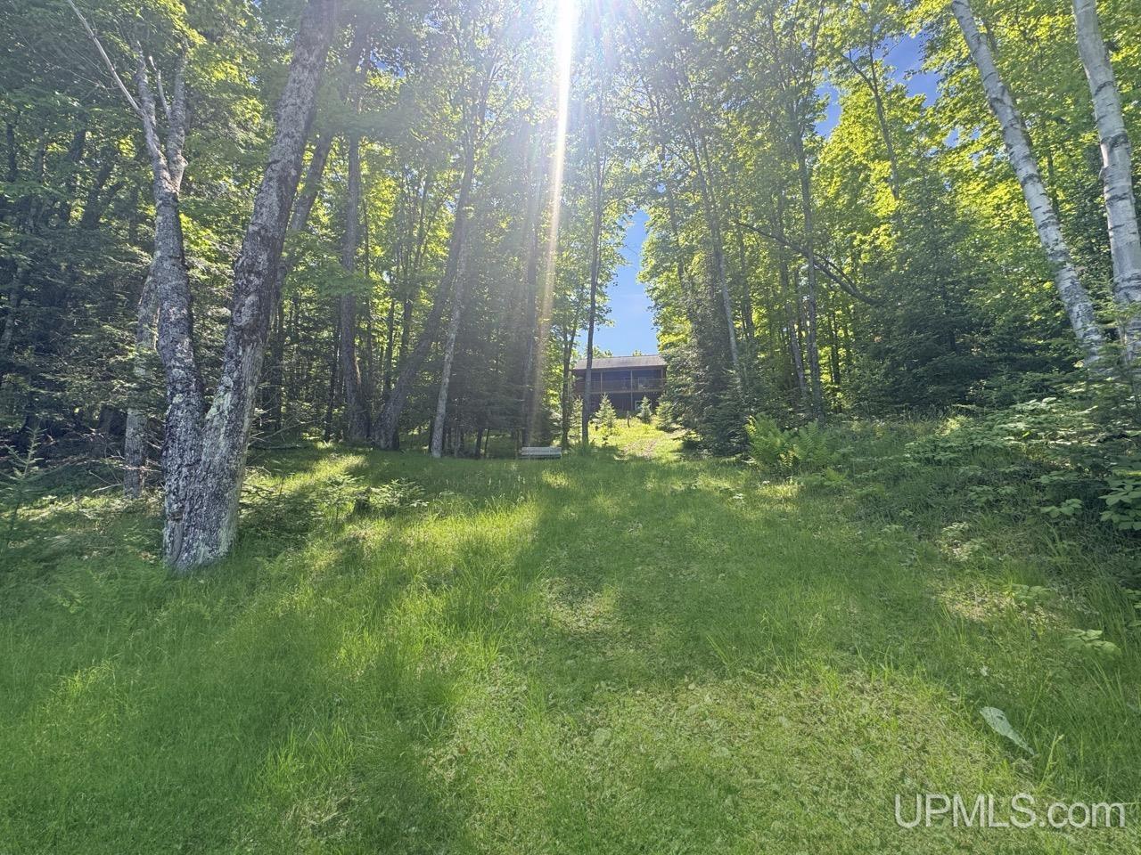 252 Bara Road Crystal Falls, MI 49920 - Photo 28 of 39
