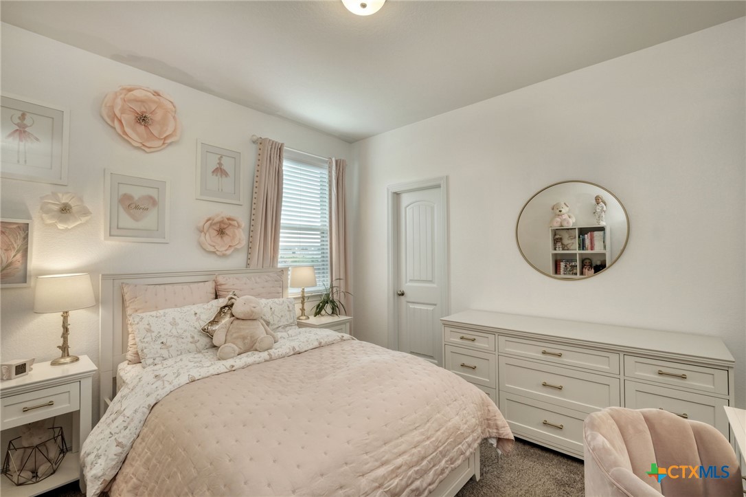 2701 Rabbit Creek Drive Georgetown, TX 78626 - Photo 17 of 36