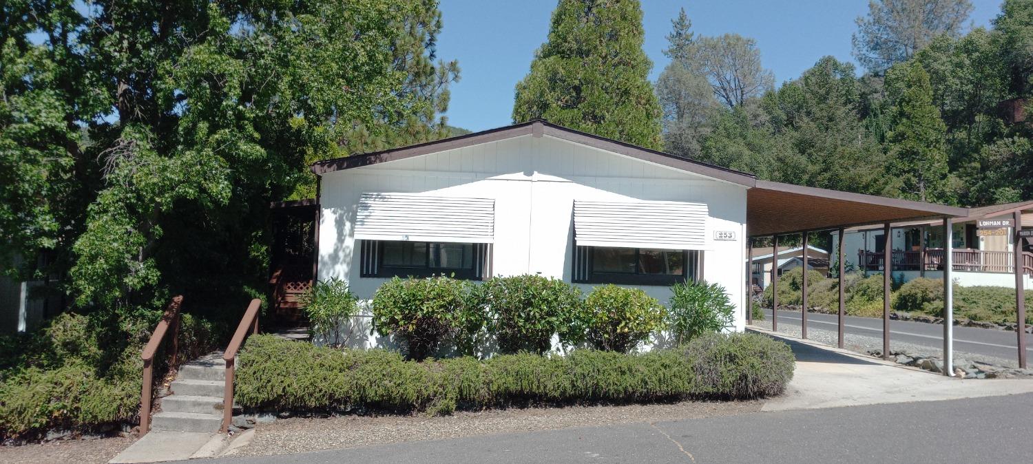 a backyard of a house with plants and trees