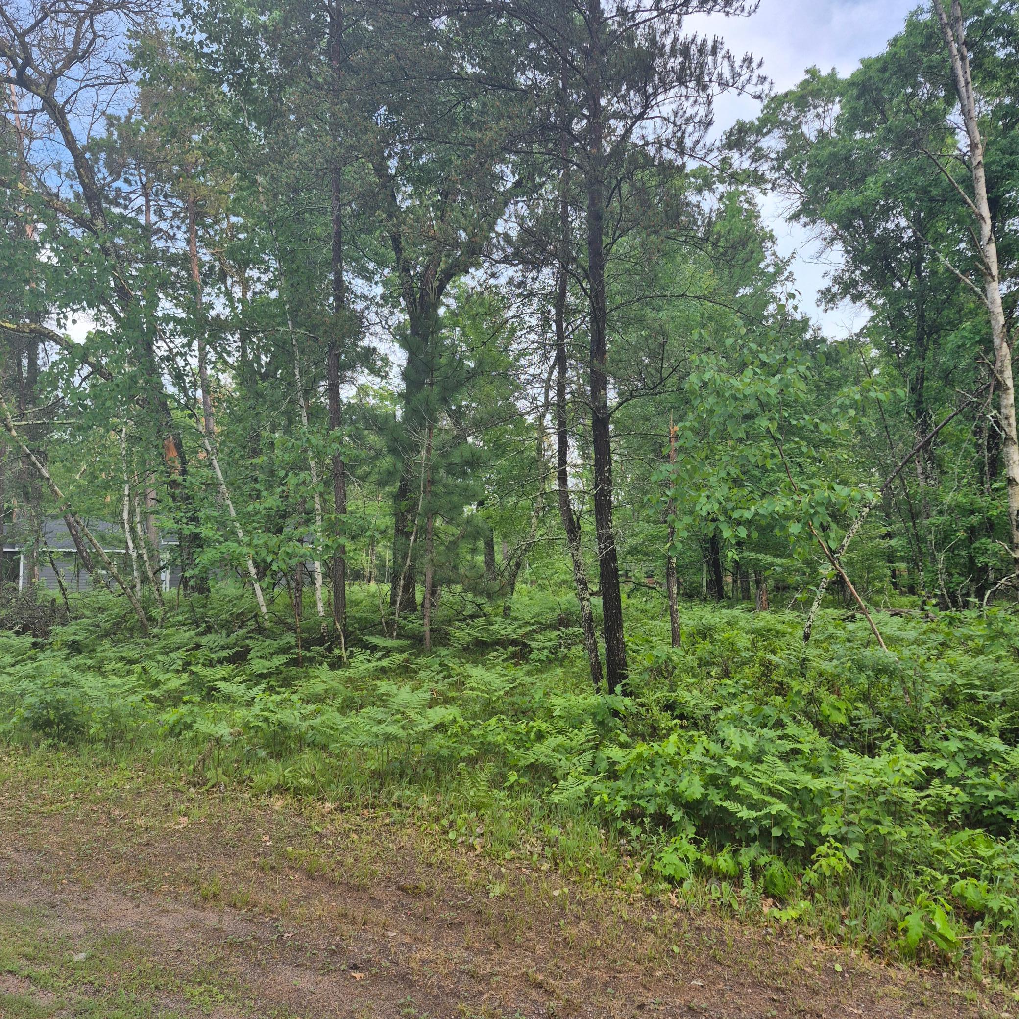 Lot 216 Deerpath Road Danbury, WI 54830 - Photo 2 of 7