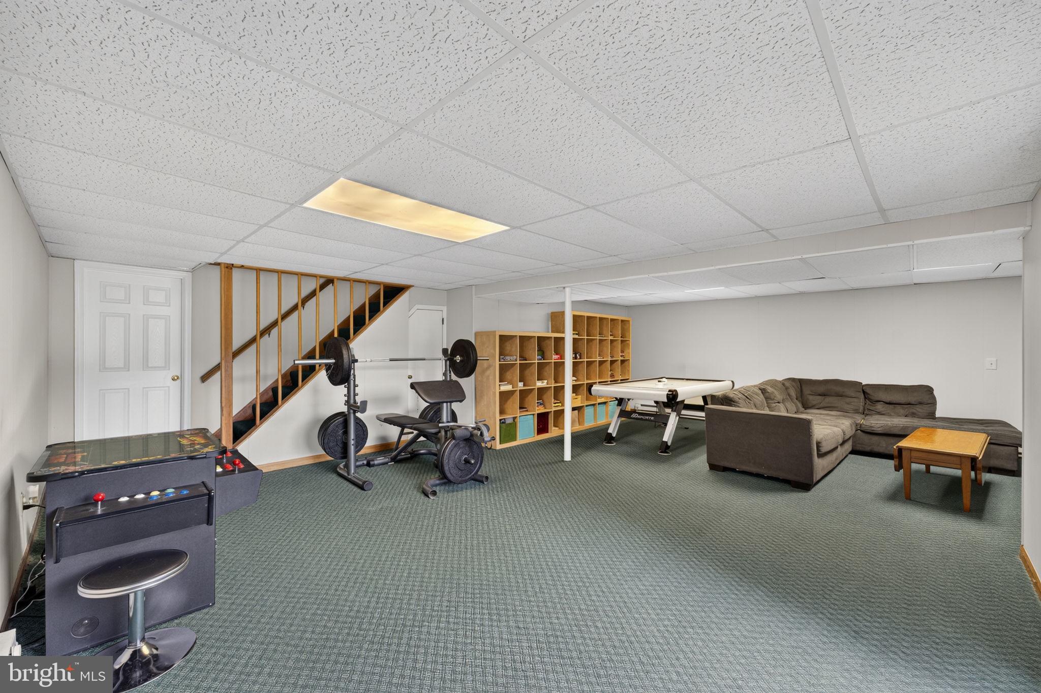 20210 Bent Willow Road Rohrersville, MD 21779 - Photo 58 of 98 Spacious basement retreat for leisure.