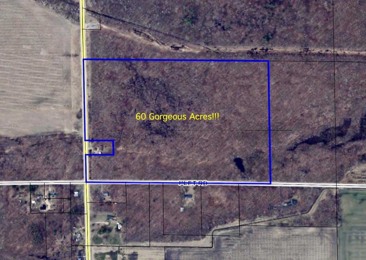 V/l South Chapin Road Elsie, MI 48831 - Photo 1 of 20