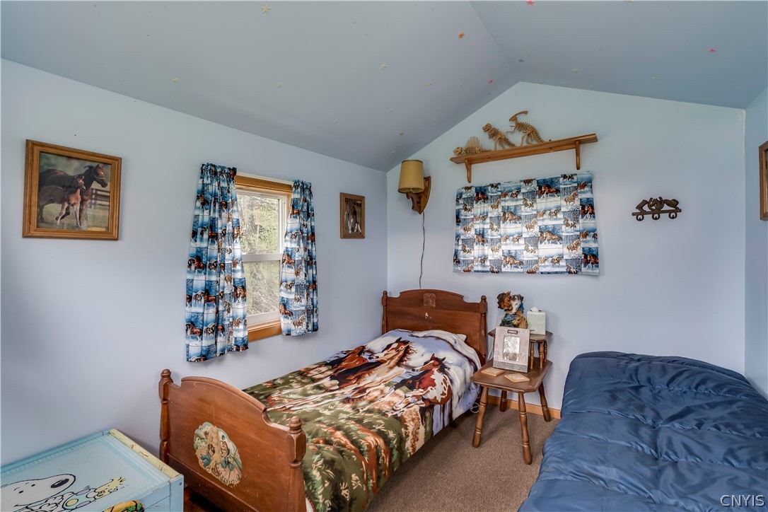 66 Downing Farm Road De Peyster, NY 13633 - Photo 18 of 29