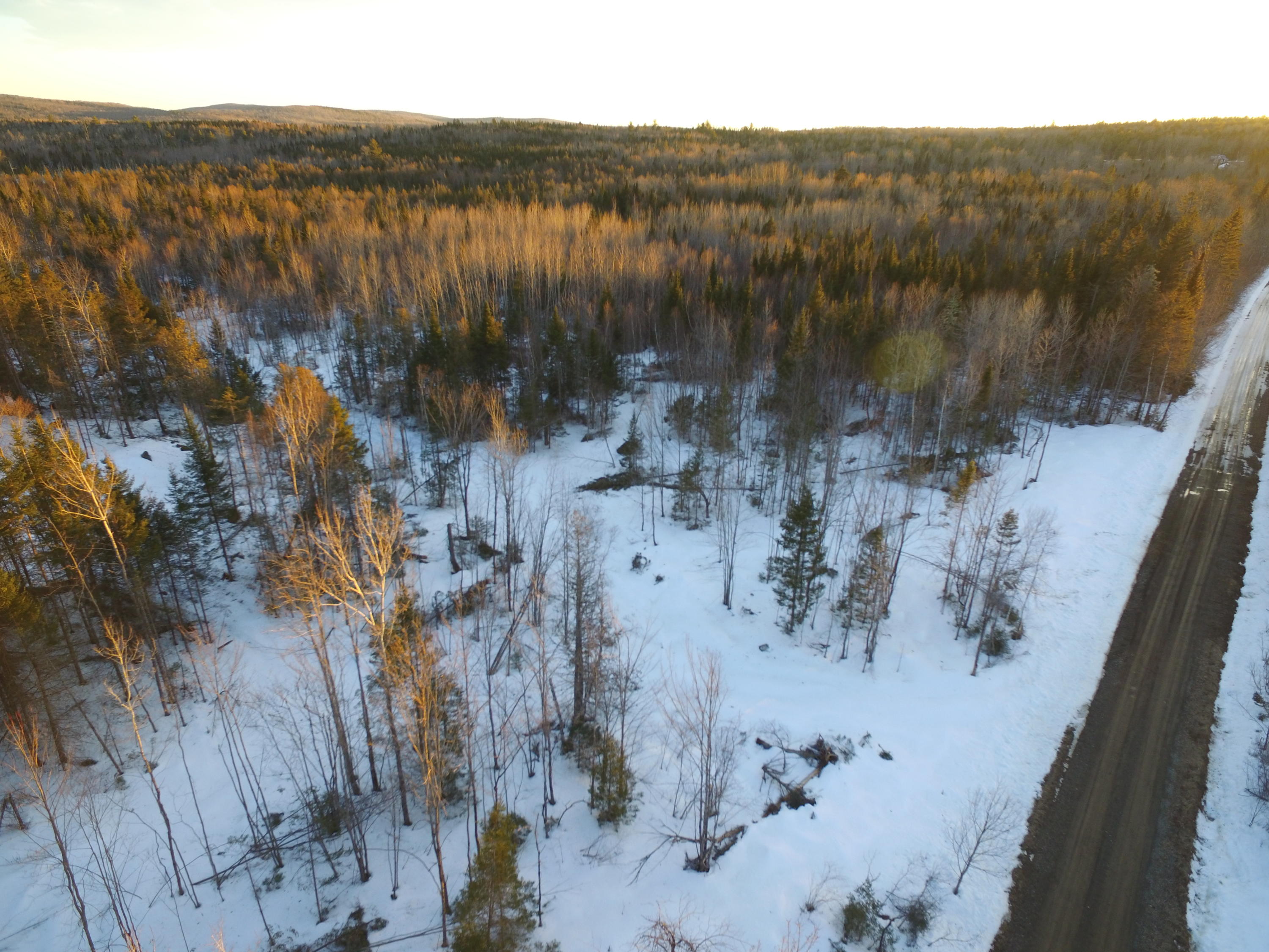 Lot 11.2 Off Tar Ridge Road Springfield, ME 04487 - Photo 1 of 16 DJI_0369