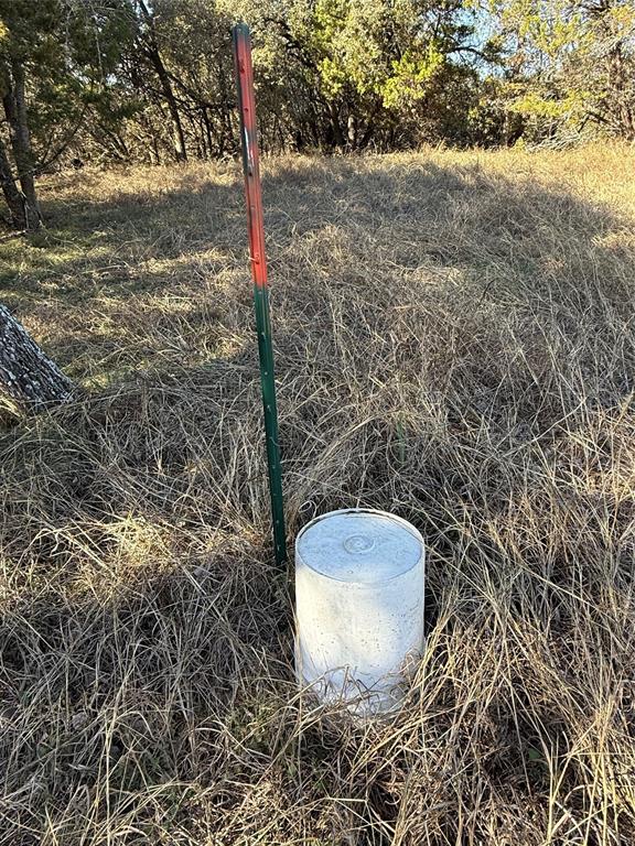 729 County Road 1304 Morgan, TX 76671 - Photo 16 of 32 a view of a wooden door and tree in the background