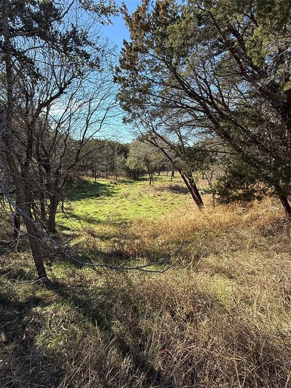 729 County Road 1304 Morgan, TX 76671 - Photo 17 of 32 a view of a yard with a tree