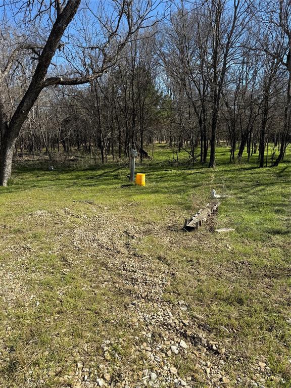 729 County Road 1304 Morgan, TX 76671 - Photo 5 of 32 a view of a tree in a yard