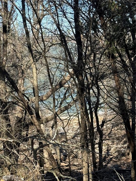 729 County Road 1304 Morgan, TX 76671 - Photo 6 of 32 a view of tree