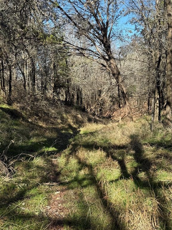 729 County Road 1304 Morgan, TX 76671 - Photo 7 of 32