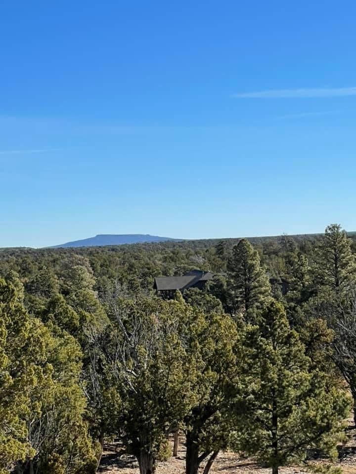 4367 Sunset Ridge Loop Happy Jack, AZ 86024 - Photo 4 of 21 Gallery Image 4