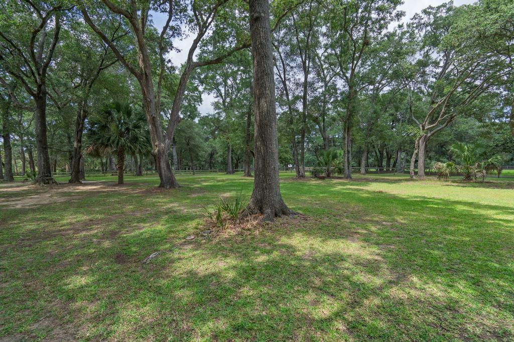 8830 Shell House Road Edisto Island, SC 29438 - Photo 70 of 84 untitled-34
