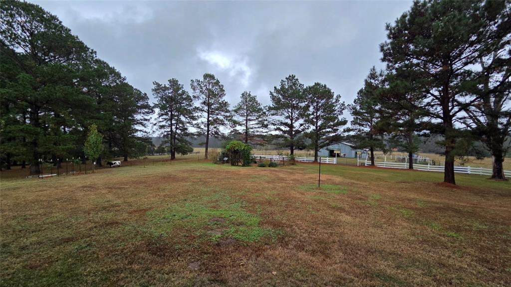 236 Charlie Cannon Road Coushatta, LA 71019 - Photo 24 of 39 View of yard