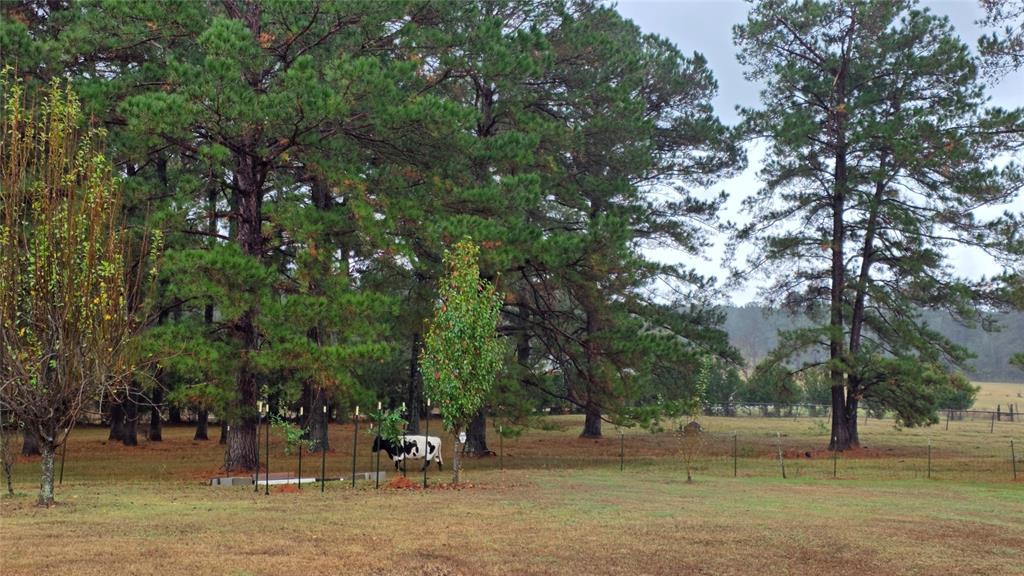 236 Charlie Cannon Road Coushatta, LA 71019 - Photo 25 of 39 View of yard with a rural view